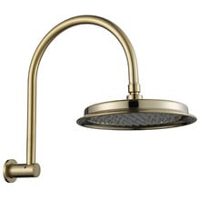Constance 220mm Gooseneck Shower Arm & Head