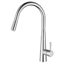 Amari Pull-Out Kitchen Sink Mixer