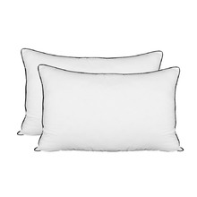 Eva Standard Pillows (Set of 2)