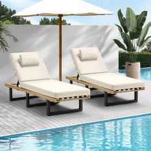Brun Steel Sun Lounges (Set of 2)