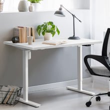Hodgkin 120cm Single Motor Sit & Stand Desk