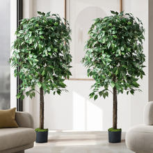 150cm Potted Faux Ficus Trees (Set of 2)