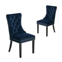 Aylin Velvet Dining Chairs (Set of 2)