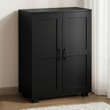 Colin 2 Door Storage Cabinet