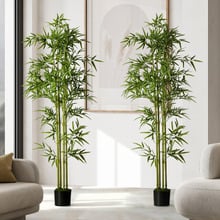 150cm Potted Faux Bamboo Trees (Set of 2)