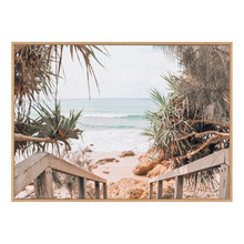 Pandanus Pathway Framed Printed Wall Art