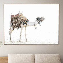 Moroccan Camel Framed Canvas Wall Art