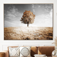 One Tree Hill Framed Canvas Wall Art
