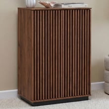 Armin Shoe Cabinet