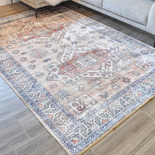 Andro Machine Washable Rug