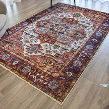 Denzel II Machine Washable Rug