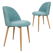 Tanvi Velvet Dining Chairs (Set of 2)