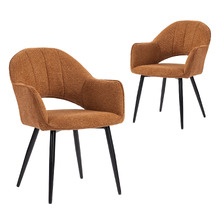 Astoria Chenille Dining Chairs (Set of 2)