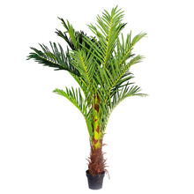 180cm Potted Faux Phoenix Palm Tree