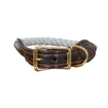 Leather & Cotton Rope Dog Collar