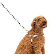 Charcoal Hamptons Stripe Hemp No-Pull Dog Harness