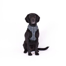 Chequered Neoprene Dog Harness