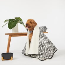 Wave Fleece Dog Blanket