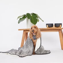 Wave Fleece Dog Blanket
