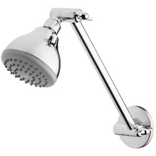 Ivy  Shower Arm & Head