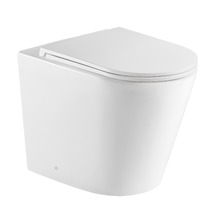 Zara Rimless Wall Faced Toilet Pan