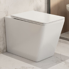 Enox Rimless Wall Faced Toilet Pan