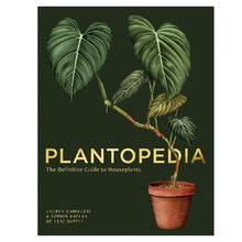 Plantopedia by Lauren Camilleri & Sophia Kaplan