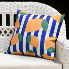 Winona Outdoor Cushion