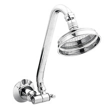 Noosa Multi Directional Gooseneck Shower & Arm