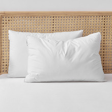 Raleigh Hypoallergenic Cotton High Profile Standard Pillows (Set of 2)