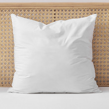 Raleigh Hypoallergenic Cotton European Pillow
