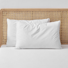 Raleigh Hypoallergenic Cotton Low Profile Standard Pillows (Set of 2)