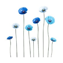 9 Piece Orana Poppy Garden Stake Set