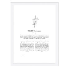 Zodiac Woman I Taurus Printed Wall Art