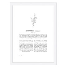 Zodiac Woman I Scorpio Printed Wall Art
