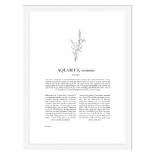 Zodiac Woman I Aquarius Printed Wall Art