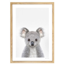 Baby Koala Printed Wall Art