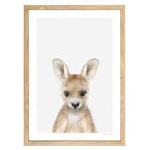 Baby Kangaroo Printed Wall Art