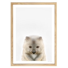 Baby Wombat Printed Wall Art