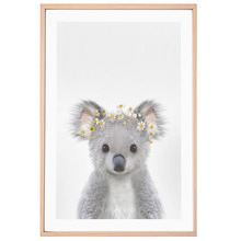 Baby Koala Daisy Crown Printed Wall Art