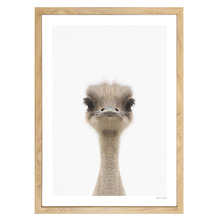 Baby Emu Printed Wall Art