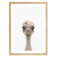 Baby Emu Rose Crown Printed Wall Art
