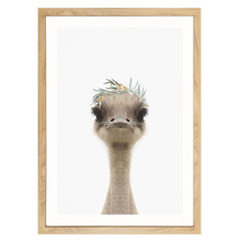 Baby Emu Eucalyptus Crown Printed Wall Art
