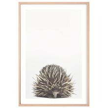 Baby Echidna Daisy Crown Printed Wall Art