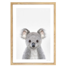 Baby Koala Printed Wall Art