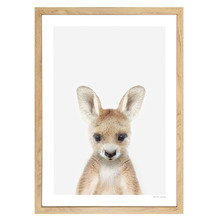 Baby Kangaroo Printed Wall Art