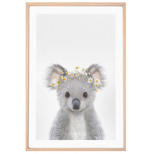 Baby Koala Daisy Crown Printed Wall Art