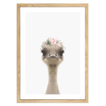 Baby Emu Rose Crown Printed Wall Art