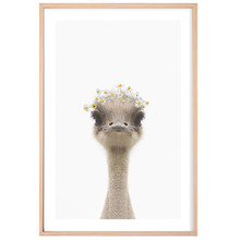Baby Emu Daisy Crown Printed Wall Art
