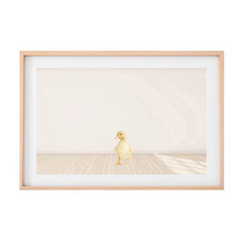 Baby Duckling Printed Wall Art